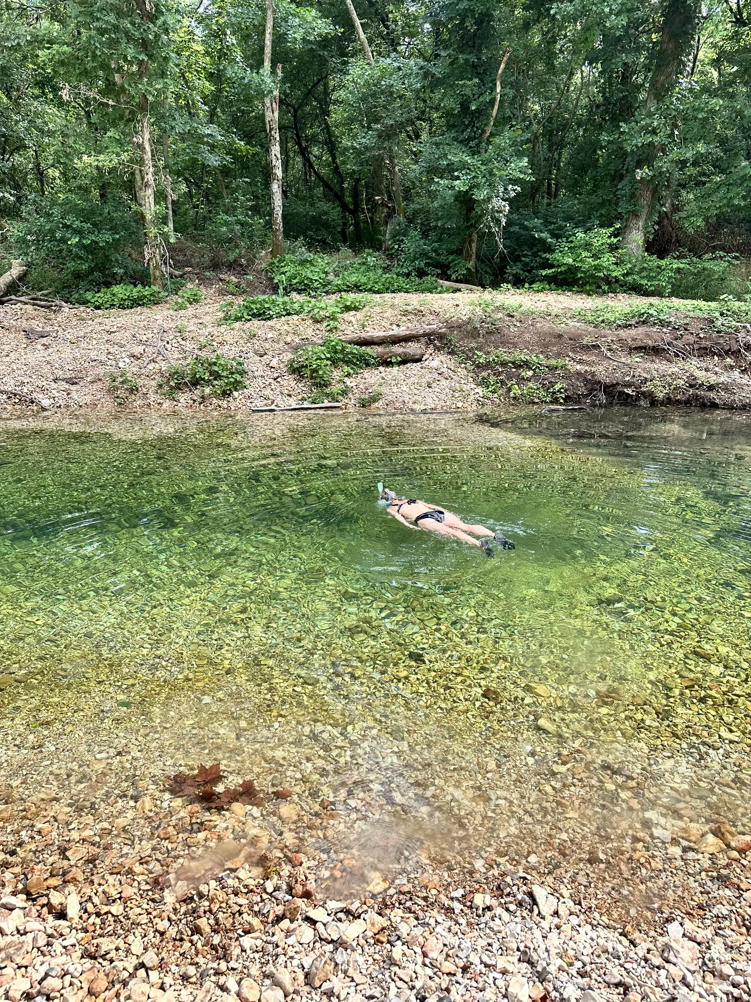 A swimmer floating in a clear green swimming hole