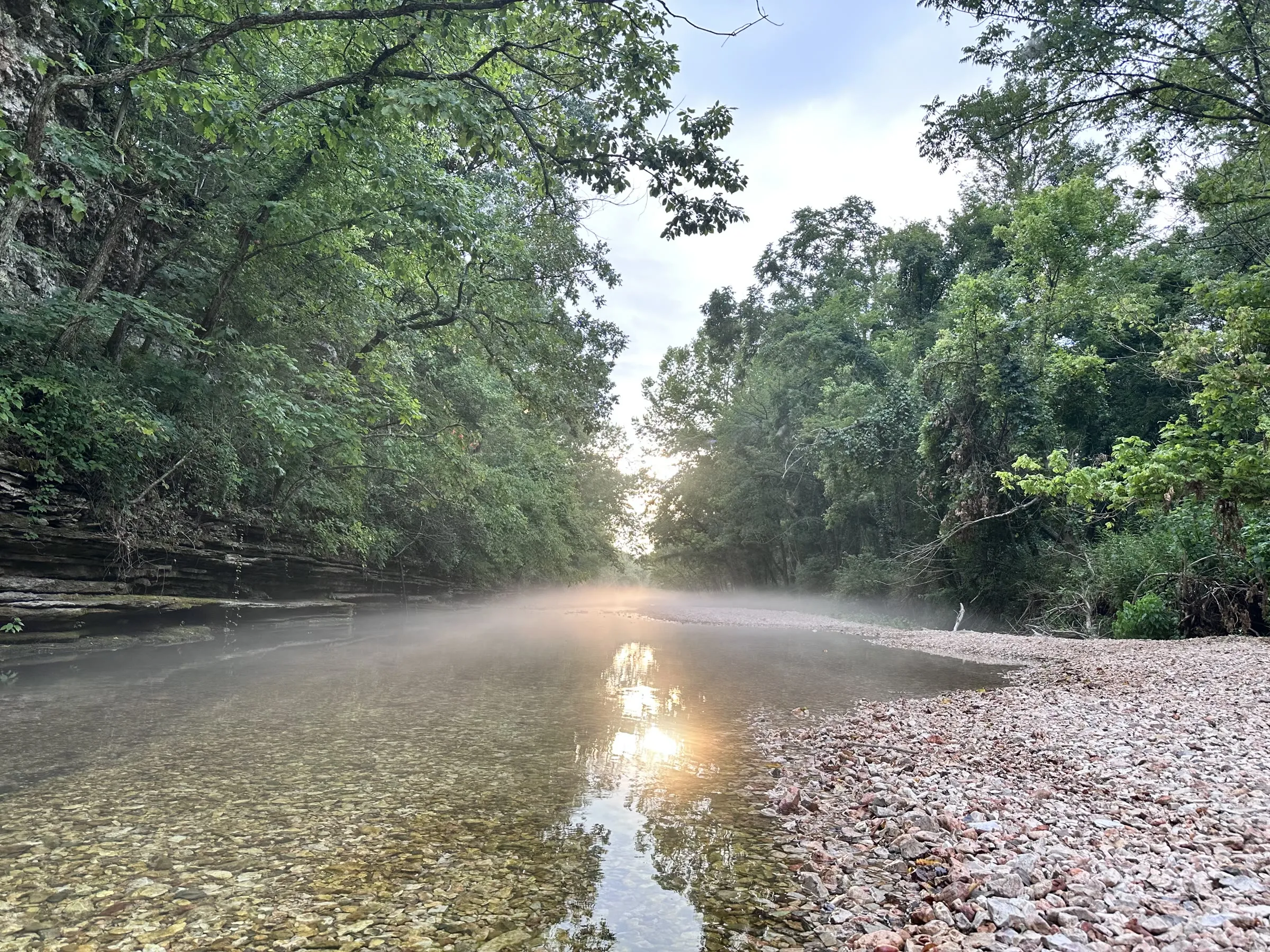 Fog drifting over Shultz Creek at sunrise, framed by limestone bluffs and trees