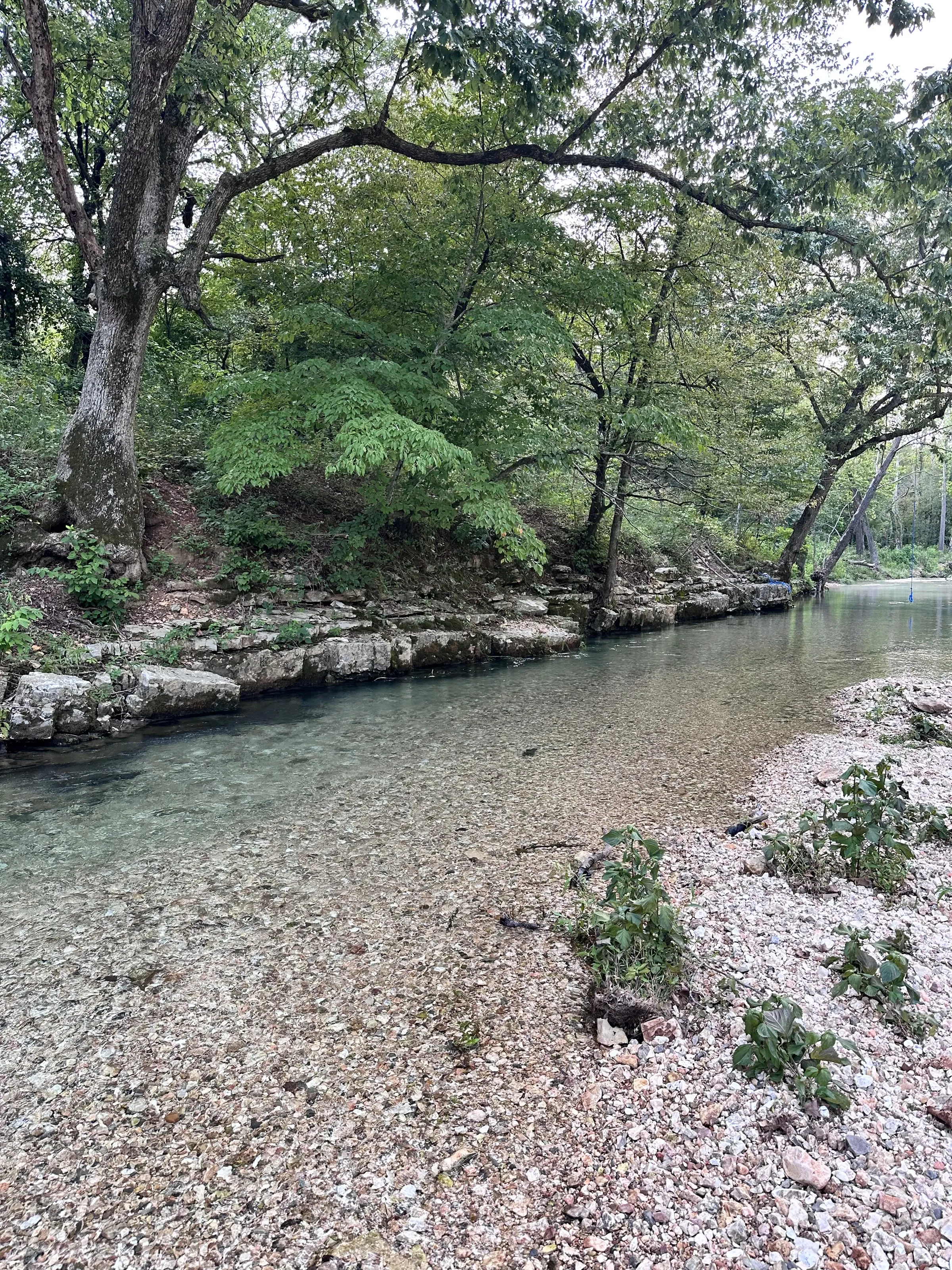 Clear water along a limestone creek bend