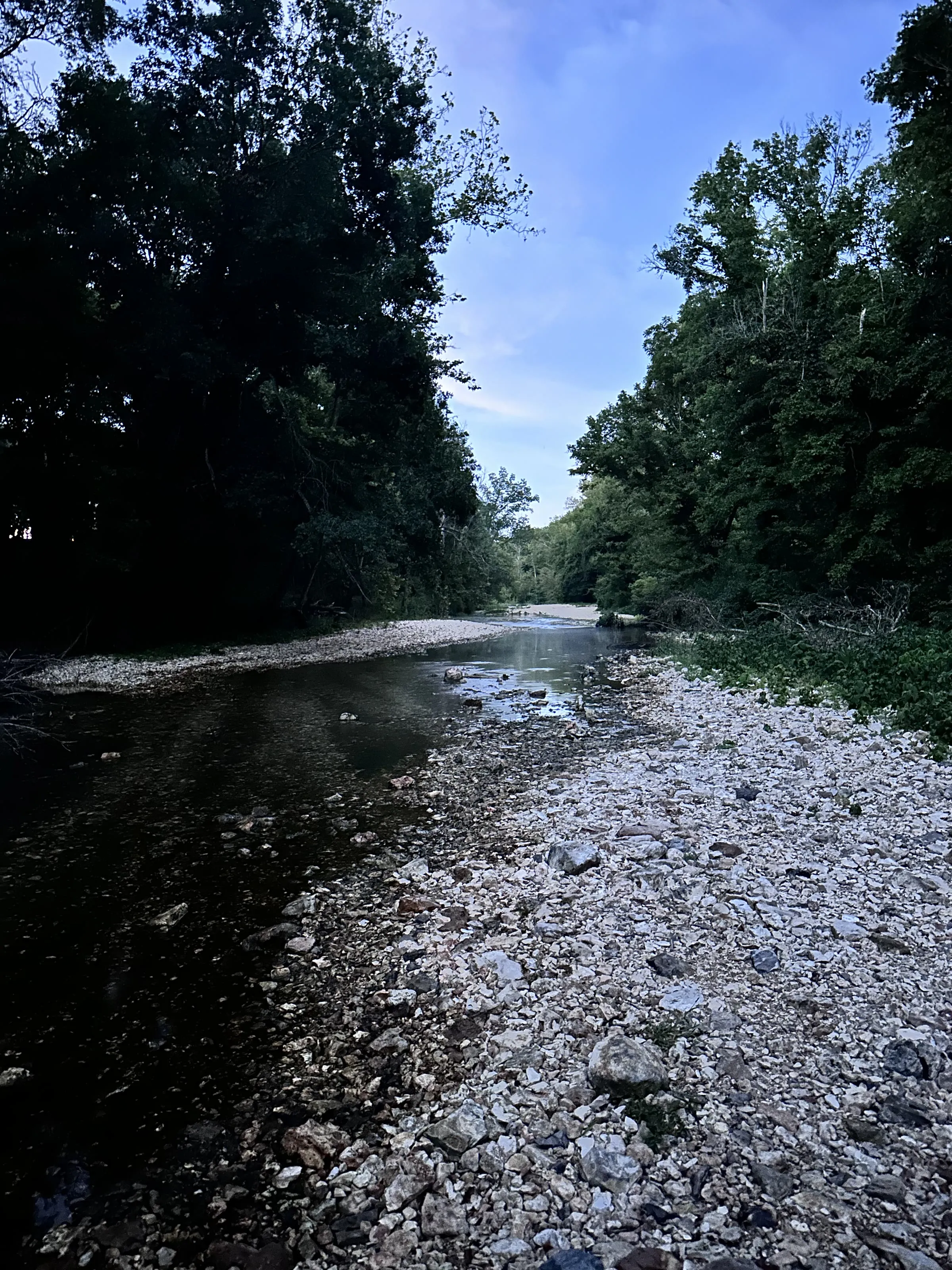 A quiet bend in the creek at dusk