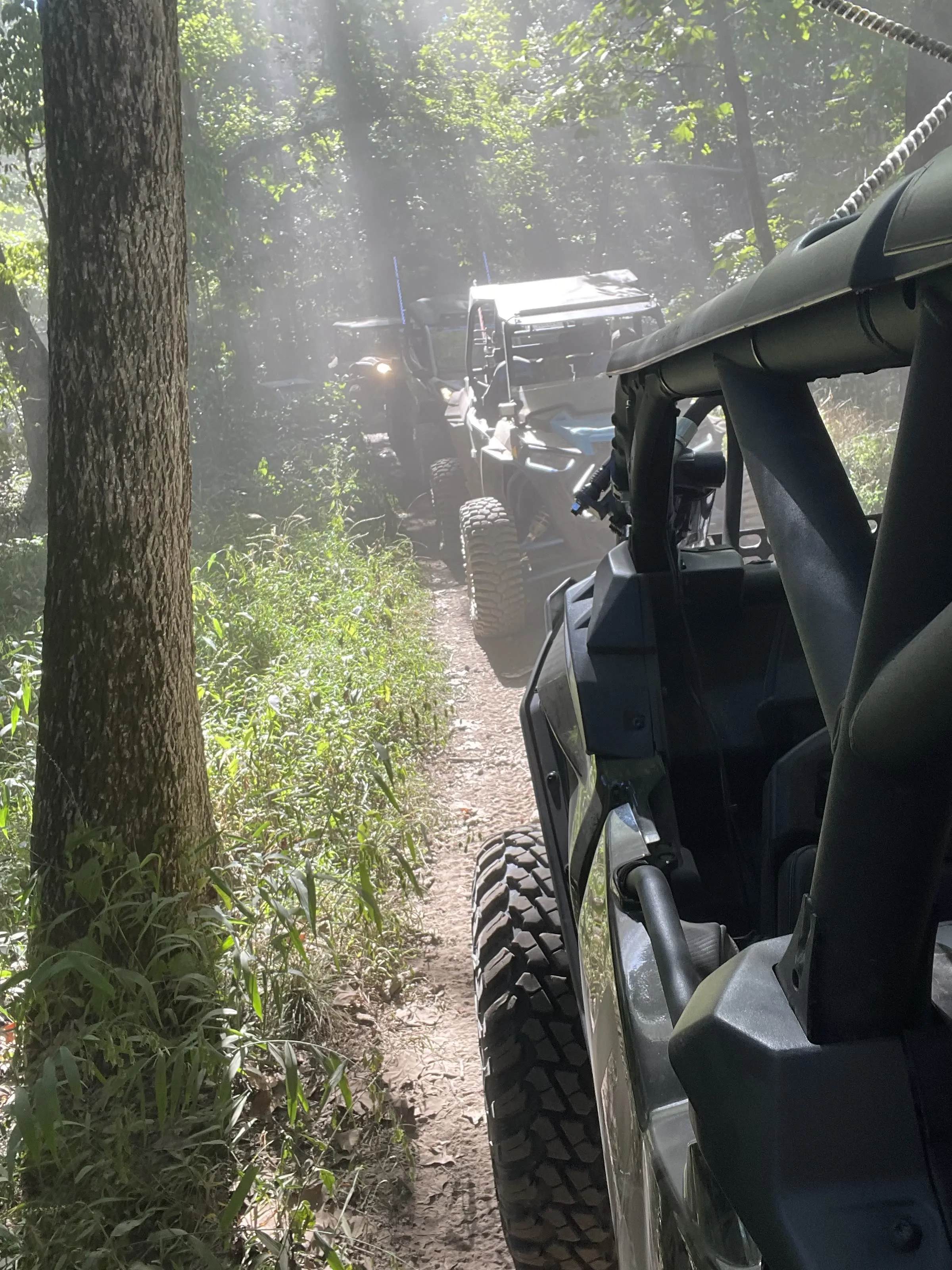 Point-of-view shot following a line of UTVs down a sunbeam-lit, dusty wooded trail